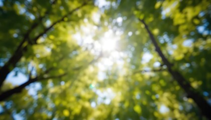 Obraz premium Abstract view looking upward through a forest canopy with bright sunlight shining through the green leaves