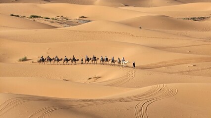 Wide shot of a tourist camel caravan making its way through the immense sand dunes of the Sahara...