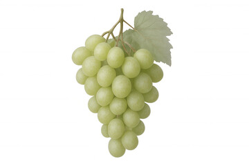 Obraz premium Fresh green grapes hanging with a leaf on a transparent background, perfect for food and beverage projects