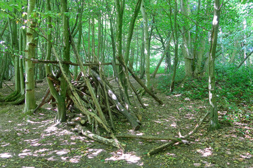A camp site made from branches and twigs in the woodland countryside