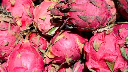 Exotic pink-red pitaya (dragon fruit) in close-up — a bright fruit background for healthy food...
