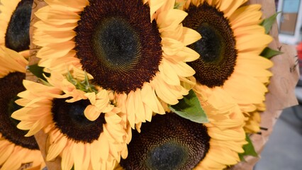 Sunflowers in paper design — a bright summer floral background for seasonal decor, natural...