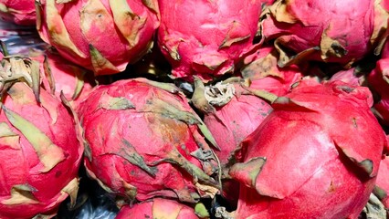 Exotic pink-red pitaya (dragon fruit) in close-up — a bright fruit background for healthy food...