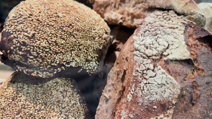 An assortment of craft breads with seeds, flour, and crispy crusts — an authentic composition for advertising bakeries, packaging, culinary blogs, menus, and content about natural nutrition.
