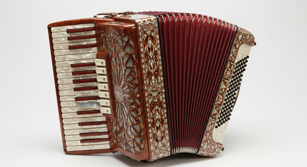 accordion isolated on white background