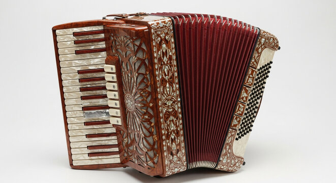 accordion isolated on white background