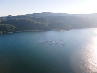 Summer view of Dospat Reservoir, Bulgaria