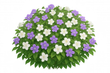 Verdant shrub displaying white and purple blossoms, blooming against transparent background, highlighting botanical elegance and natural color harmony