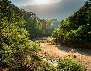 lush forest landscape with a dry riverbed showcasing the contrast between vibrant greenery and arid terrain