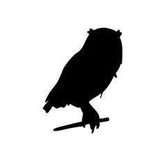 Owl silhouette