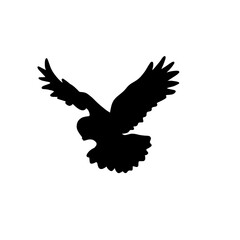 Owl silhouette