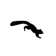 Squirrel silhouette