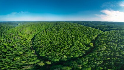 aerial view of a lush green forest demonstrating sustainable forestry practices and the importance of preserving biodiversity for a healthier planet and future generations high resolution