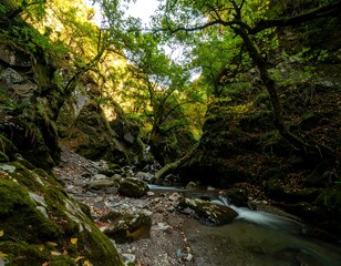 Obraz premium Autumnal mountain stream (4)