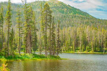 Lakeside of Yellowstone Lake