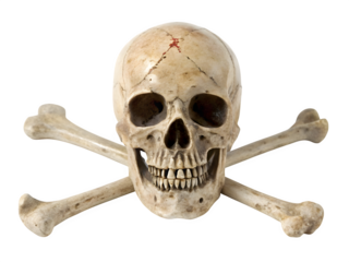 Human skull and crossbones symbol isolated on transparent background