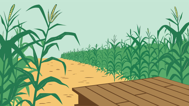 Explore cornfield landscape illustration vector art with farm and agriculture themed design for graphic projects