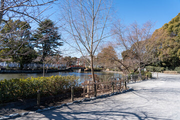 神奈川　鎌倉　鶴岡八幡宮