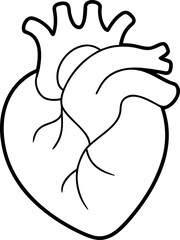 Black and White Line Drawing of Human Heart with Aorta, Pulmonary Arteries, and Chambers