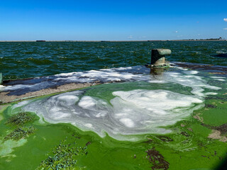 A weathered pier bollard with waves and green algae in the sea. A bollard stands on a pier, waves...