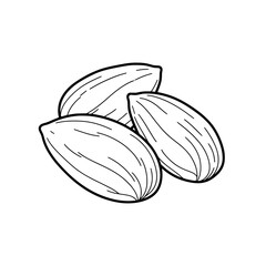 Handdrawn outline illustration of pistachio nuts healthy food snack design element