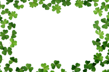 PNG Clover leaves are scattered in the form of a frame backgrounds plant green.