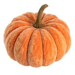 A single ripe orange pumpkin with a textured skin isolated on transparent background
