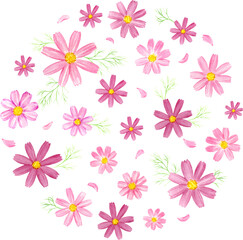 水彩で描いたコスモスの円形背景　