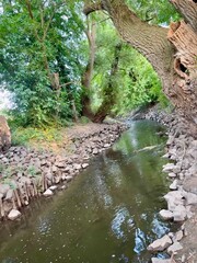 Bach, Bachlauf, stream, brook, Fluss, Steine, Kies, Sand, Strömung, Natur, Germany, Thunderstorm, Rhine, river, stones, gravel, sand, current, nature, landscape, waves, water, lake, Panorama, Relax