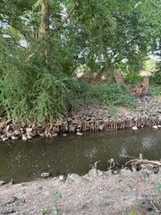 Bach, Bachlauf, stream, brook, Fluss, Steine, Kies, Sand, Strömung, Natur, Germany, Thunderstorm, Rhine, river, stones, gravel, sand, current, nature, landscape, waves, water, lake, Panorama, Relax