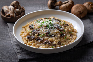 Risotto with porcini and champignon mushrooms in plate