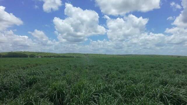 Drone agr&iacute;cola sobre camino de tierra en campo de ca&ntilde;a de az&uacute;car