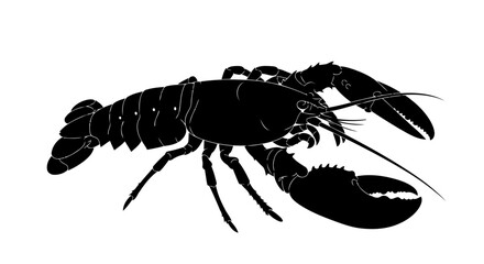 elegant black lobster silhouette transparent background for luxury branding