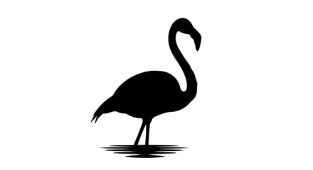 elegant flamingo silhouette transparent vector for minimalist designs