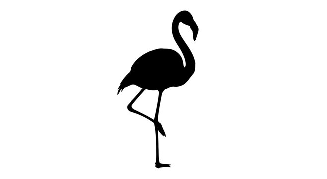 elegant flamingo silhouette transparent vector for modern designs presentations