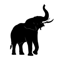 Obraz premium majestic elephant silhouette transparent vector for modern designs presentations