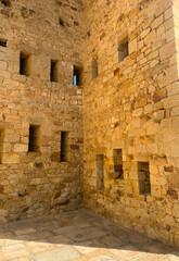ruins of the old castle