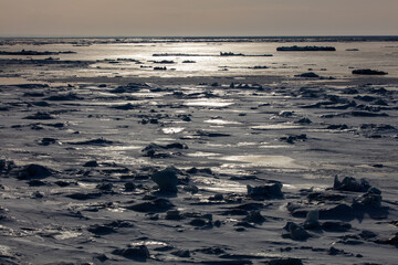 A sea of drifting ice with thin ice © 多田 智