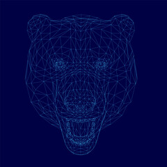 Low polygonal bear head with wireframe design composed of geometric lines and shapes. The stylized 3D model features sharp angles and a dark blue background.