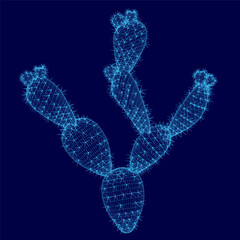 A wireframe cactus composed of geometric shapes and clean lines stands out against a dark blue background. The intricate design features interconnected polygons and a stylized silhouette. © German Ovchinnikov