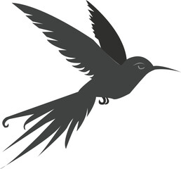 Obraz premium Hummingbird in flight