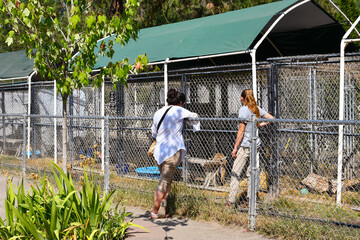 A female visitor talks with a zoo employee outside of a small animal enclosure with lynx and bobcats.