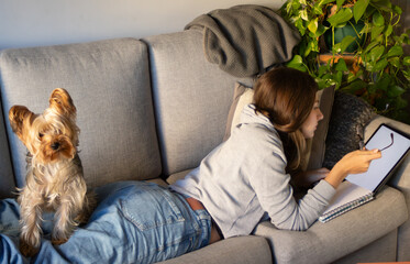 Everyday scene of a little Yorkie sitting on his owner while she studies in the living room.