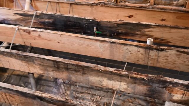 Water damage in a bathroom to floor joists and subfloor. The result of white wood rot and brown wood rot. 