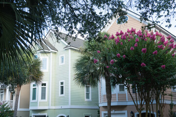 Fototapeta premium Isle of Palms, South Carolina, USA - June 30, 2025: A pastel green coastal home framed by palm trees and vibrant pink crepe myrtle blossoms in a residential neighborhood,
