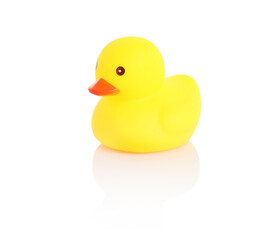 One cute rubber duck on mirror surface against white background