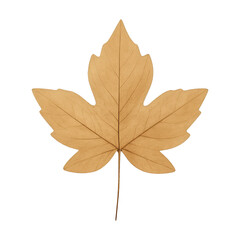 Obraz premium PNG Golden maple leaf on white