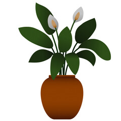 Potted Peace Lily Illustration with Green Leaves and White Blooms