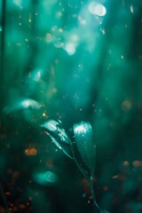 Ethereal plant in focus with bokeh effect