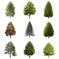A diverse collection of meticulously rendered tree specimens in various shapes and species, showcasing the beauty and variety of the arboreal world, a symbol of nature and the environment.